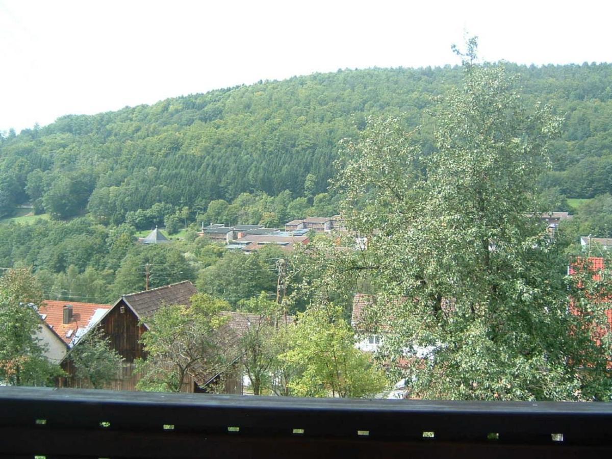Ferienwohnung Hergenroeder Riedenberg  Exterior photo